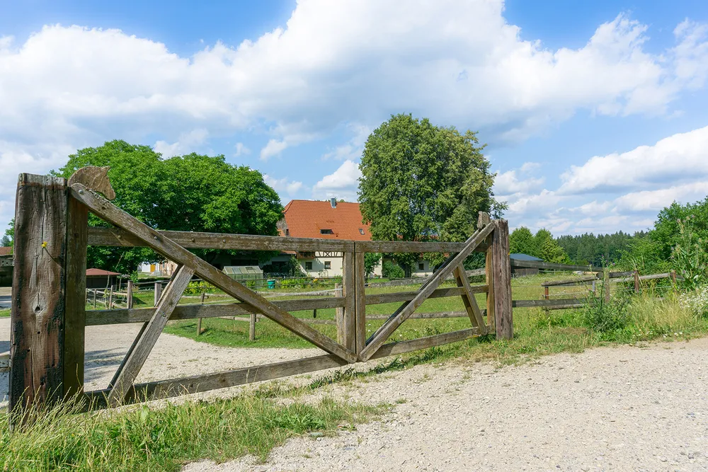 Jessica Jandt – Reitausbildung