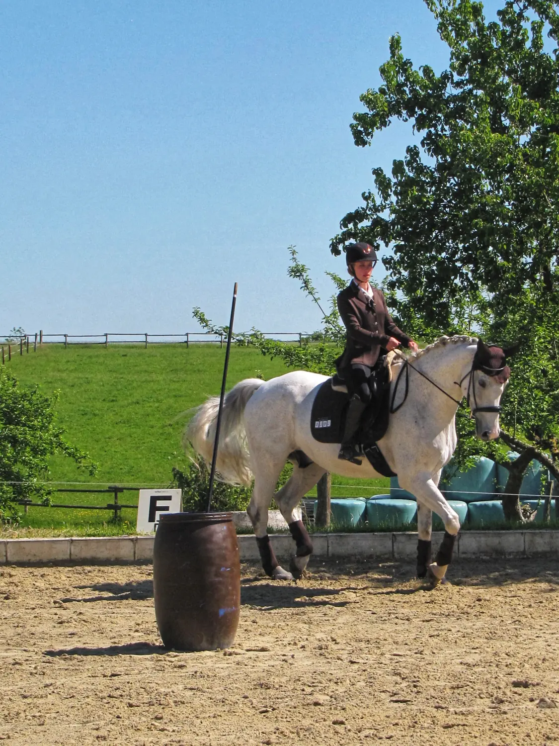 Jessica Jandt – Reitausbildung – Pferd