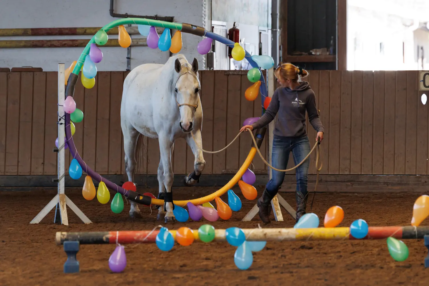 Jessica Jandt – Reitausbildung – Pferd