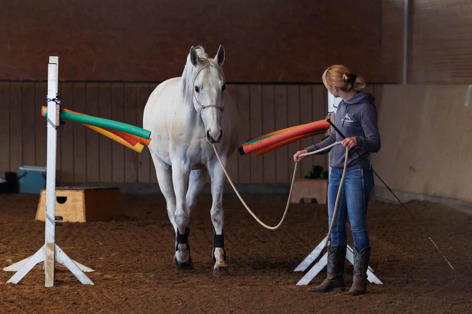 Jessica Jandt – Reitausbildung – Pferd