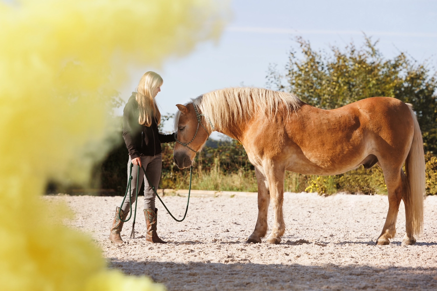 Jessica Jandt – Reitausbildung – Pferd