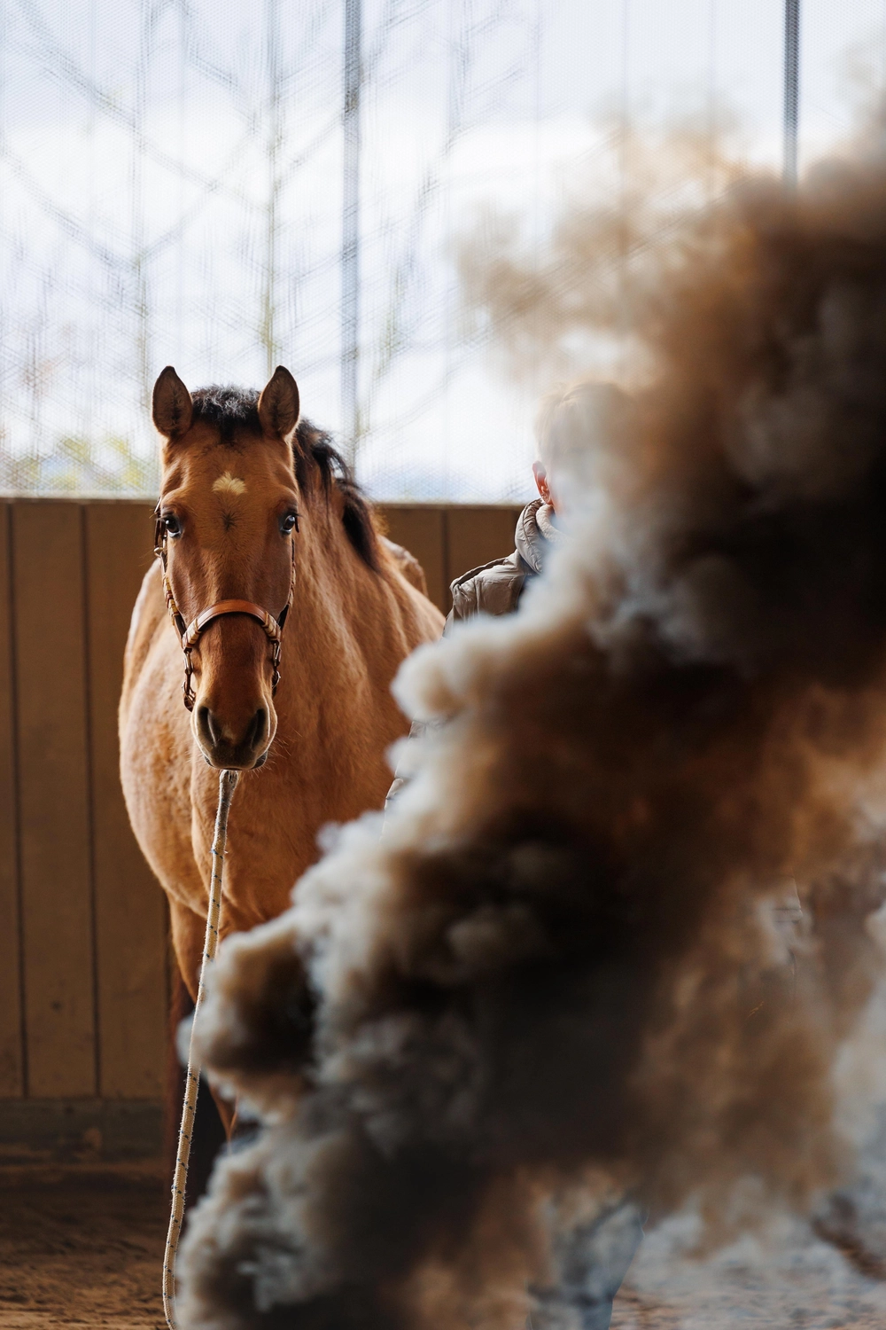 Jessica Jandt – Reitausbildung – Pferd