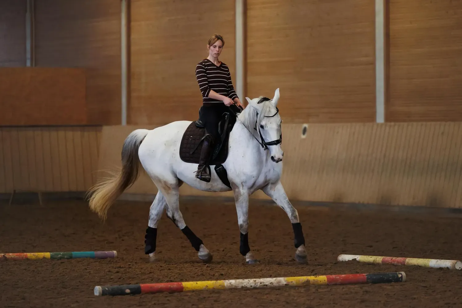 Jessica Jandt – Reitausbildung – Mann auf einem Pferd
